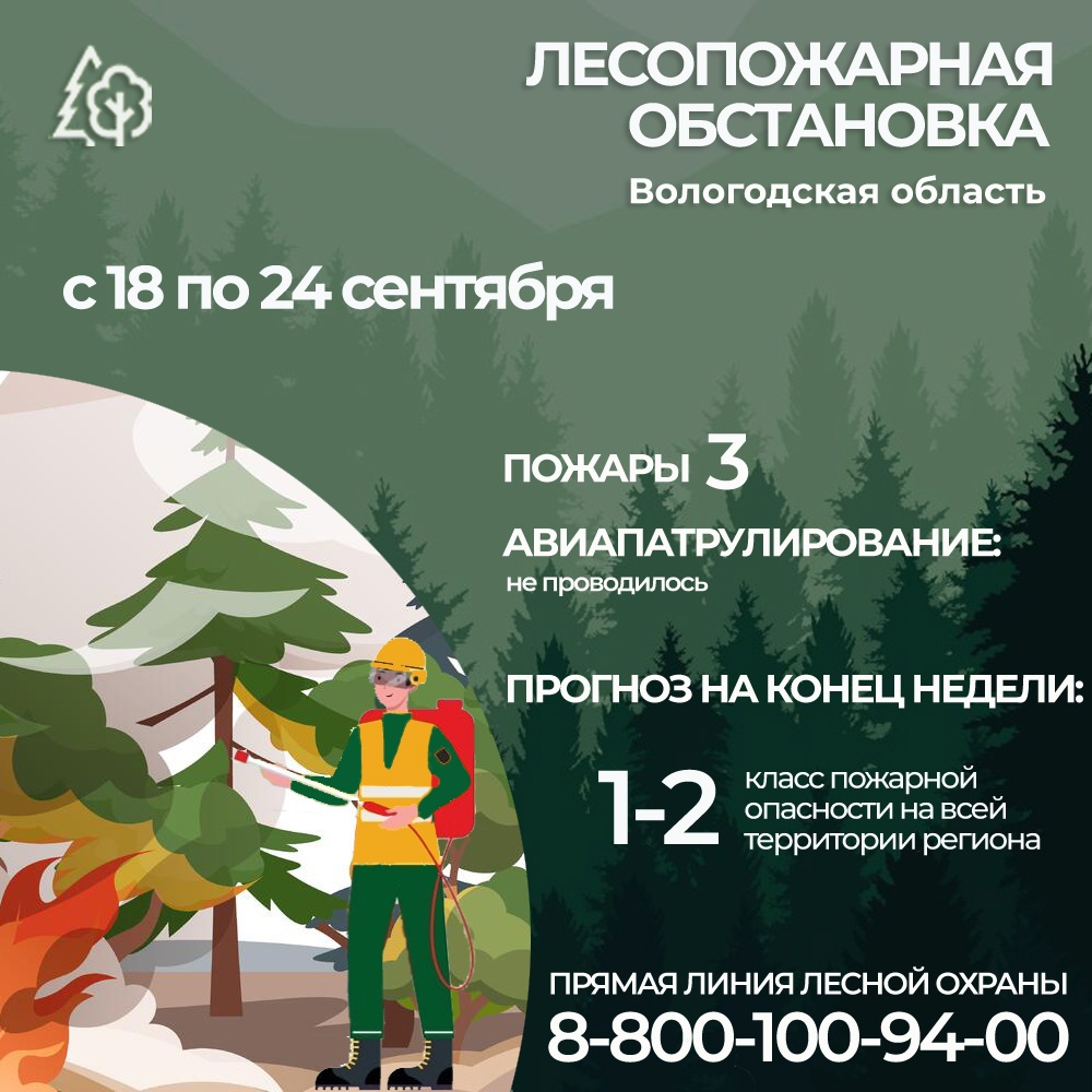С начала года на территории Вологодской области произошло 38 лесных пожаров.