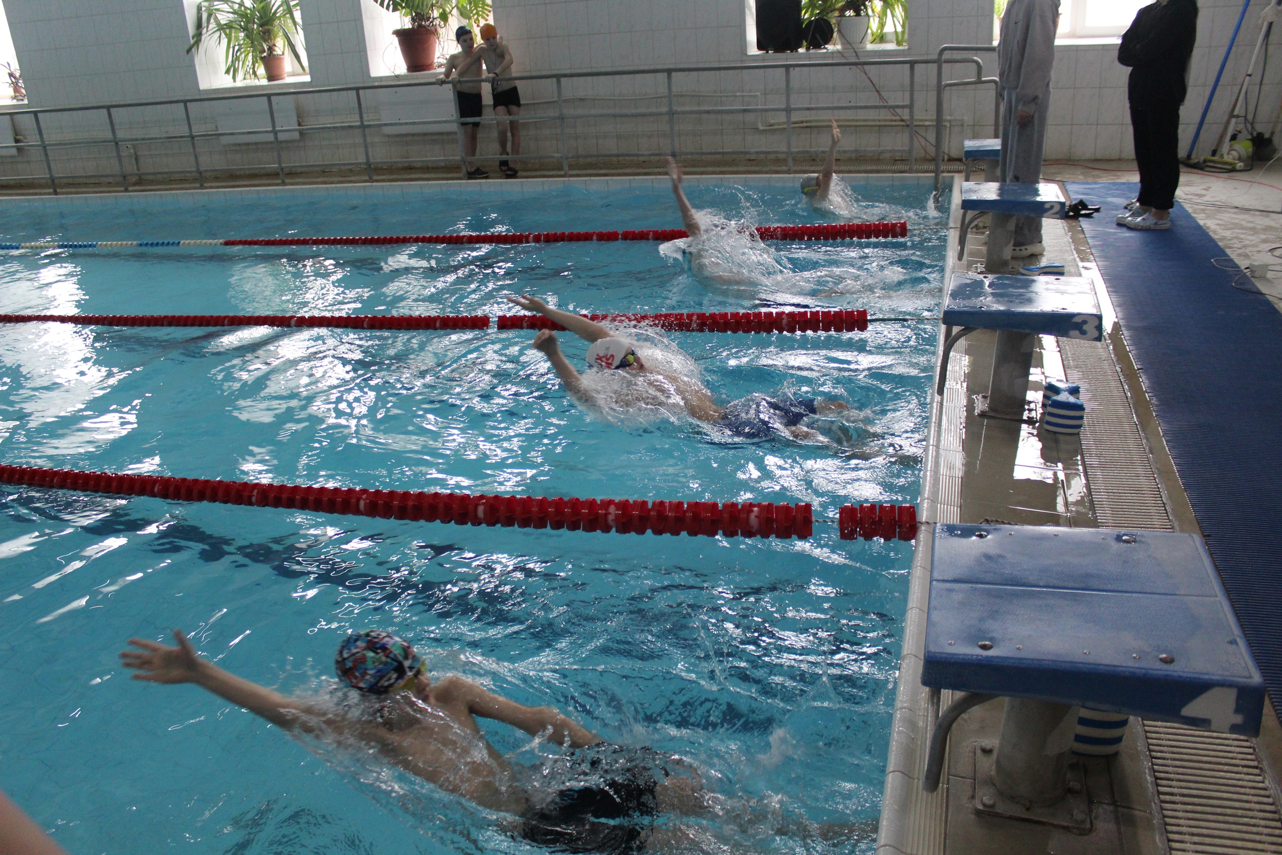 В воскресенье V этап Кубка Тотемского ФОКа по плаванию собрал 67 спортсменов от 7 до 17 лет.