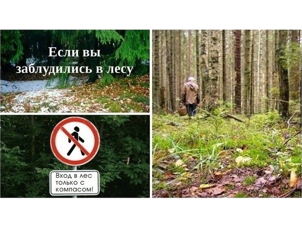 ПАМЯТКА "Как не заблудиться в лесу".