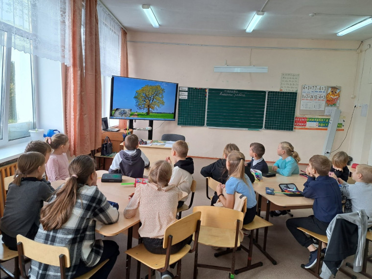 «Цифровая образовательная среда» в Советской школе работает!.