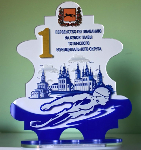 В Тотемском ФОКе стартовал представительный турнир на Кубок Главы округа по плаванию.